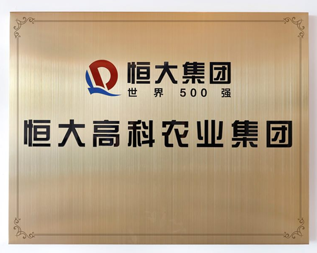 高科农业集团横空出世  恒大高科技产业布局提速