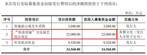 8募资项目.png