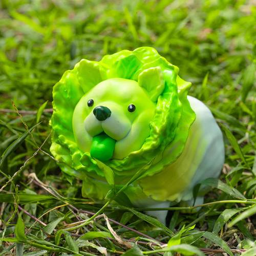 菜狗.jpg