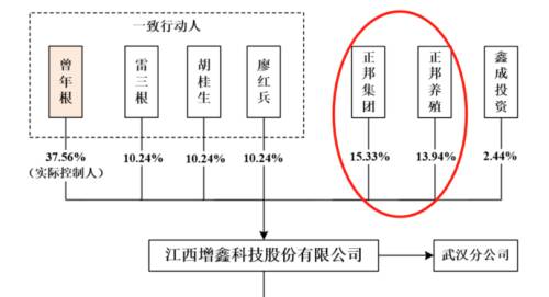 6股权结构.png