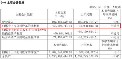 16青海春天财务.png