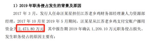 9职务侵占.png