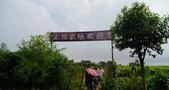 助农“贷”来好“丰”景，上海银行服务三农“最后一百米”