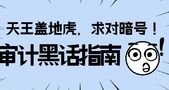 天王盖地虎，求对暗号！审计黑话指南！