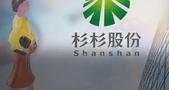 660亿“杉杉系”换了女掌门