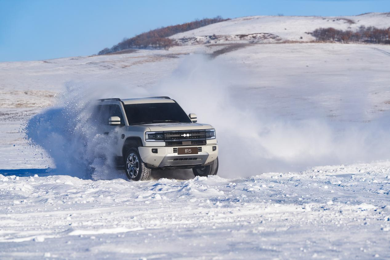 “姚十八”侵权比亚迪方程豹案判决，支付赔偿款等共计 201 万元