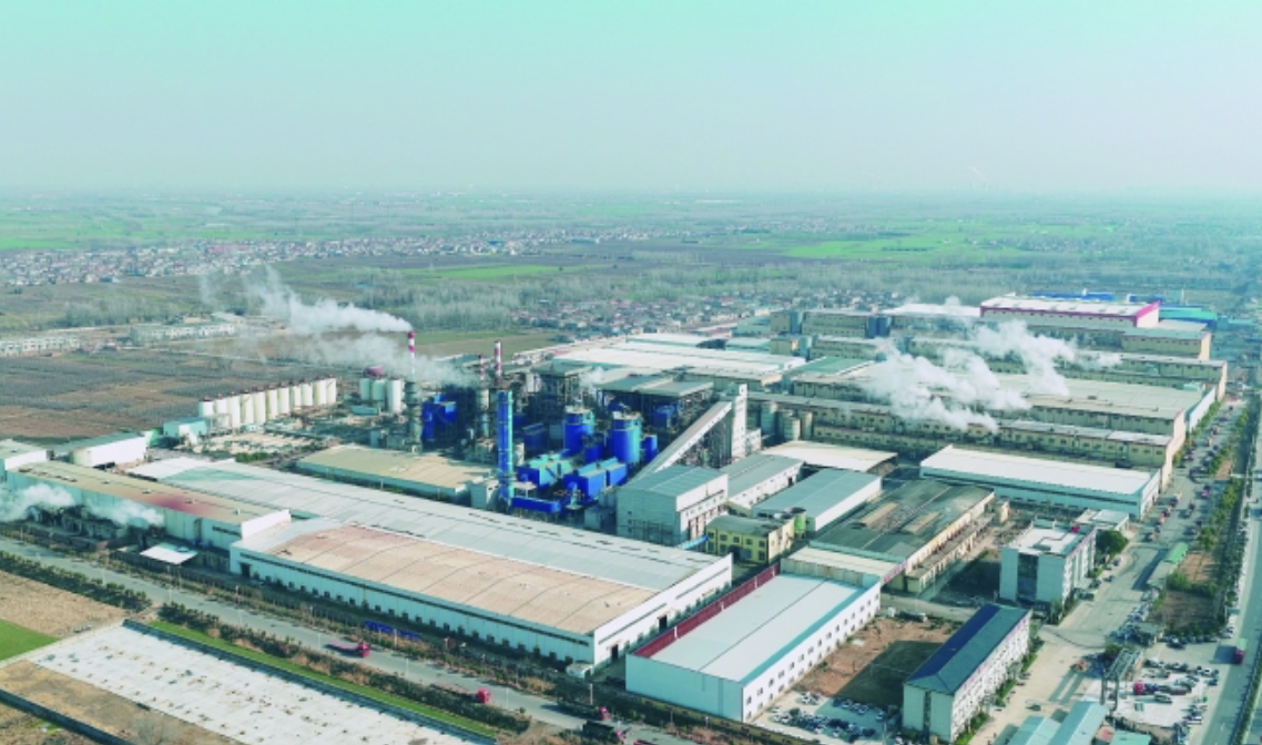 聚焦造纸黄金赛道，扎根循环经济，安徽领先纸企林平发展明日登陆A股